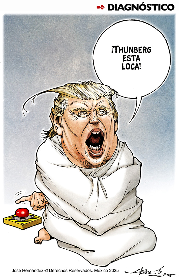 Diagn&oacute;stico